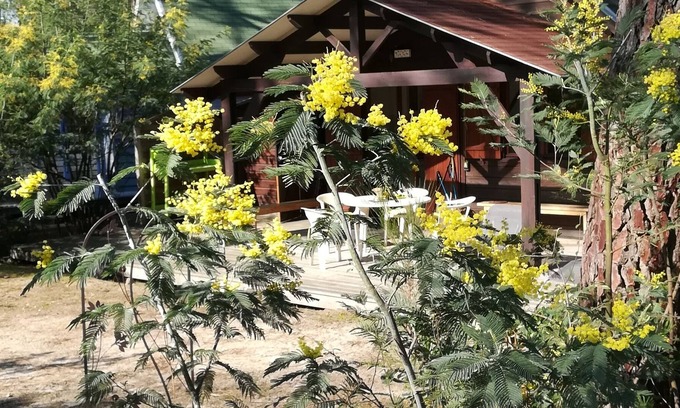 Le Porge Ski Chalet | Pleasant Tourterelle chalet in a heavenly site