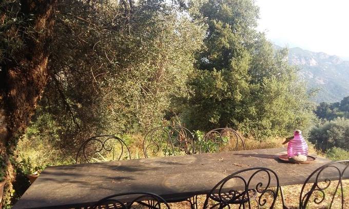Ocana House | Pleasant village house with breathtaking views of the Prunelli valley