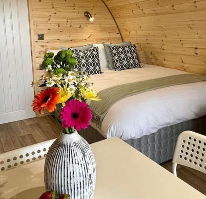Easkey Ski Chalet | Plumgrove Pod Easkey