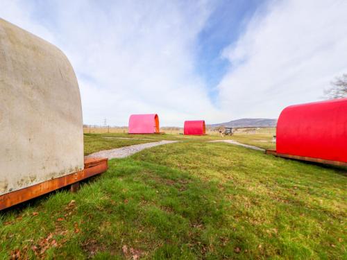 Saint Asaph House | Pod 6