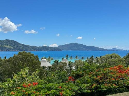 Hamilton Island Apartment | Poinciana 105
