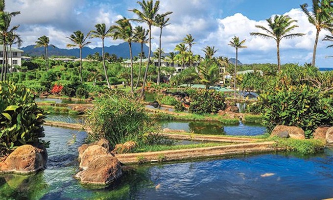 Poipu Resort | Point at Poipu, oceanfront resort, beautiful lagoon style pool!