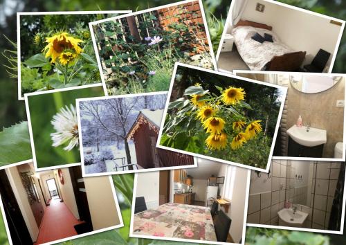 Wolimierz Apartment | Pokój Pod Kluczem