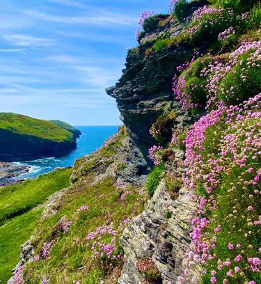 Boscastle House | Polrunny Farm Blackberry Cottage - Cornwall bliss in sight of the sea