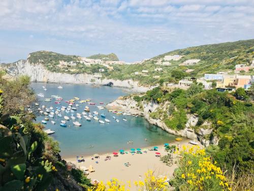 Le Forna Apartment | Ponza Cala Feola IMMOBILEVANTE