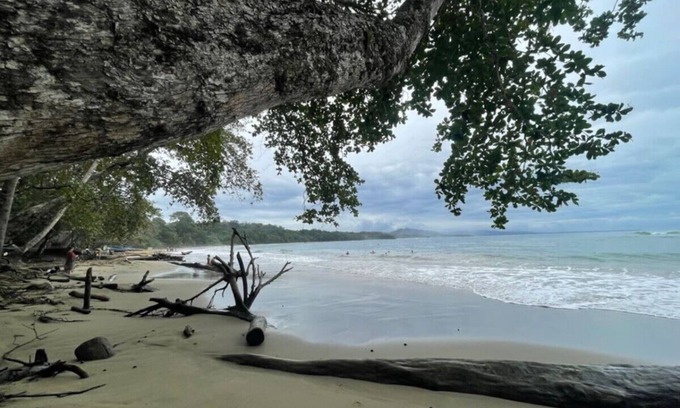 Manzanillo House | Poolside | Beach Access | Walk to Dining