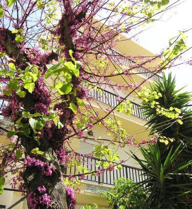 Ierapetra Apartment | Popy Apartments
