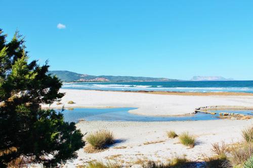 San Teodoro Apartment | Porto Coda Cavallo Salina Bamba