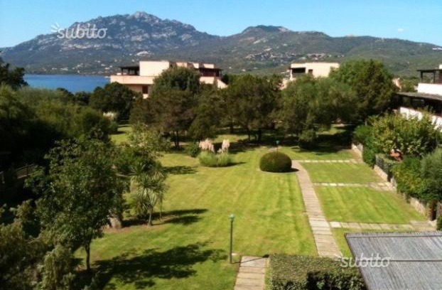 Porto Rotondo Apartment | Porto Rotondo Lovely Apartment