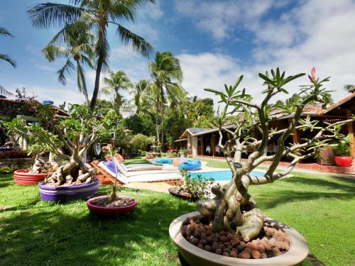 Pipa Hotel | Pousada Oasis