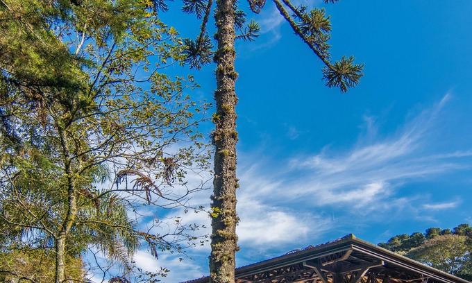 Tres Pinheiros Hotel | Pousada Rosa Gramado