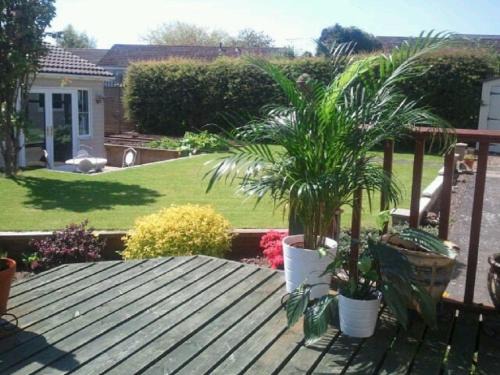 Kelso Bed & Breakfast | Premier Room