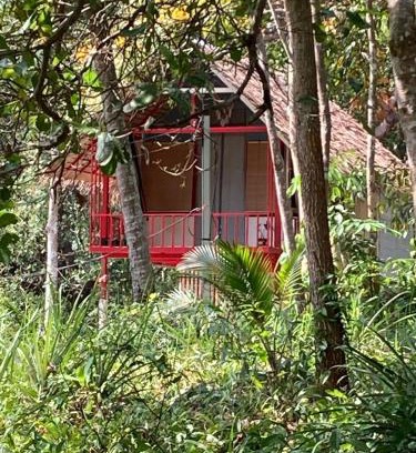 Ranong Bed & Breakfast | Presente