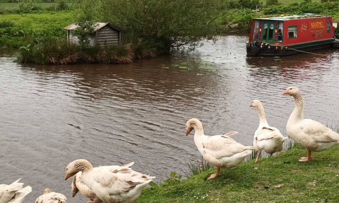 Llandrindod Wells RV Rental | Pretty & Cosy Boat in Stunning Valley View, Wales
