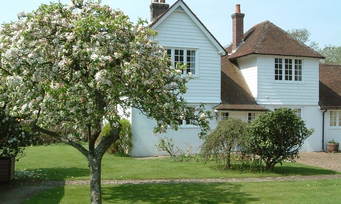 New Forest District Cottage | Pretty cottage with direct access to The New Forest