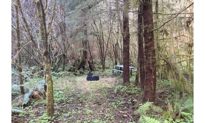 Forks RV Rental | Primitive Tent Site #8- Beautiful Forested Property