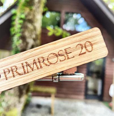 Llanybri Ski Chalet | Primrose 20-Woodland Lodges-Carmarthen-Pembroke