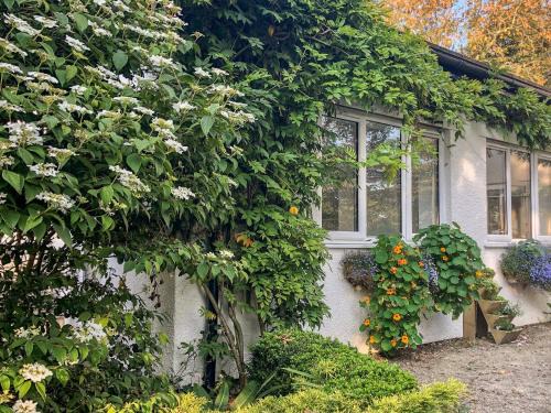 Brazzacott House | Primrose End