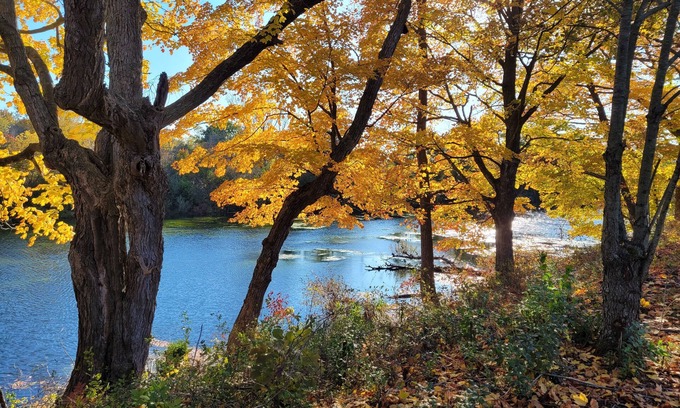 Prince Edward Cottage | Prince Edward County Pond-Side Getaway! Family-friendly private oasis!