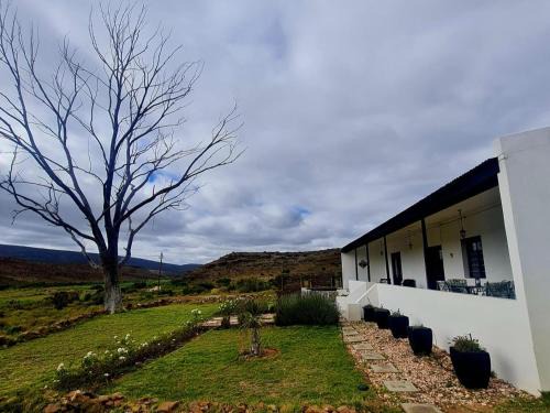 Plathuis Apartment | Prinspoort Klein Karoo Stay