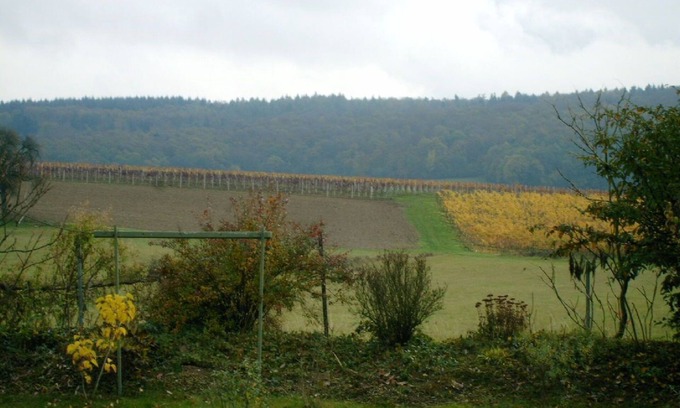 Waldlaubersheim Apartment | Privat Wohnen in den Weinbergen