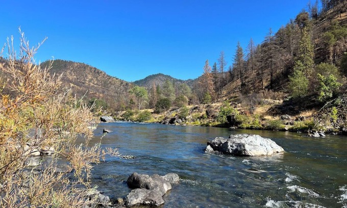 Big Bar House | Private 1-bedroom 1-bathroom guest suite in the forested area of Trinity County.