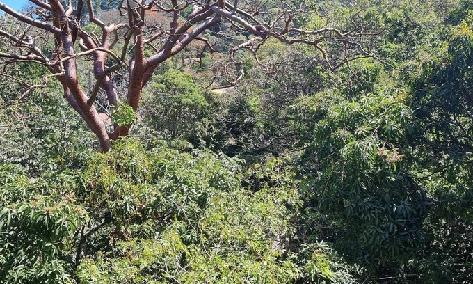 Santa Ana Apartment | Private 2 Bedroom Condo, Surrounded by Nature