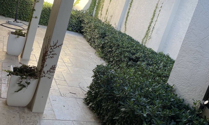 Imperial Point House | Private and quiet house offering 1/1 for laid back renter
