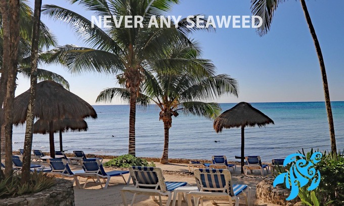 Akumal Condo | Private Beachfront 2/2, Views! Huge Pool! Gardens!
