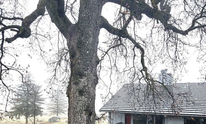 Stallion Springs Cottage | Private cottage quiet & peaceful 2-bedroom