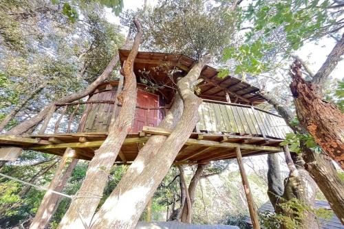 Otaki Other | Private Garden Otaki - Vacation STAY 42041v