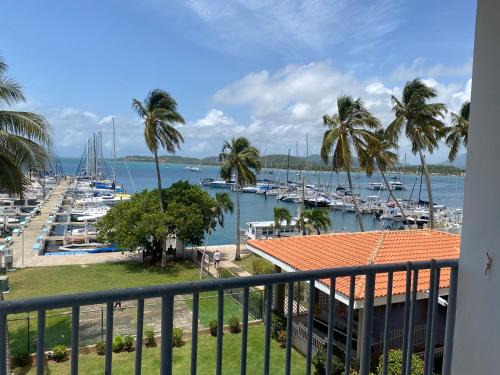 Fajardo Apartment | Prívate Island in the Caribbean