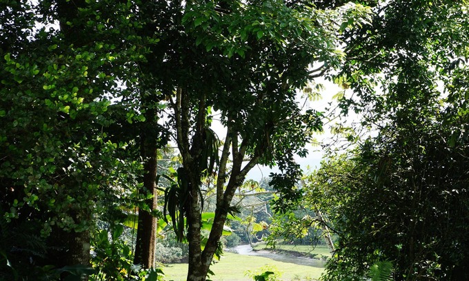 El Tanque Villa | Private Villa near La Fortuna Airport