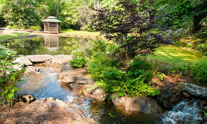 Sapphire Cabin | Private waterfalls, stream, pond Lake Toxaway Gorges State Park