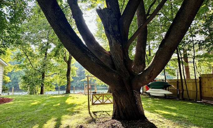Mount Marion House | Private Waterfront Getaway – Hot Tub, Sauna, Arcade, Kayaks, Outdoor Ping Pong!