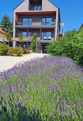Balatonalmadi Apartment | Profi Kecó Apartman