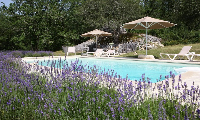 Tourtoirac House | Property ENTIEREMENT PRIVATIVE on 4 hectares ! Heated pool-great luxury
