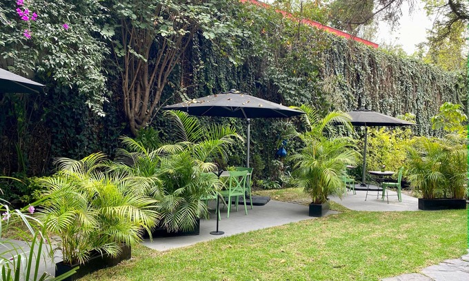 Polanco Bed & Breakfast | Pug Seal Polanco Anatole France