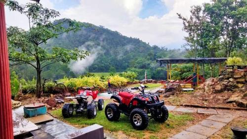 Pekan Nanas Other | Puncak CSA