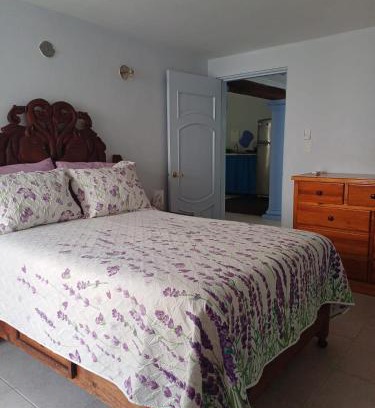 Colonia Adolfo Lopez Mateos Apartment | Purple Lotus Cozumel