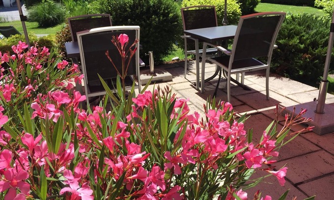 Schuttdorf Cottage | Quadruple room with shower od. Bathroom, toilet - Lindenthaler, guesthouse