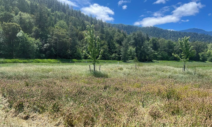 Jacksonville House | Quail Run Mountain View Cottage!