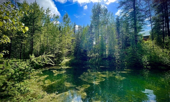 Columbia Falls House | Quaint Cozy Camper on 6 acres in the wilderness near GNP