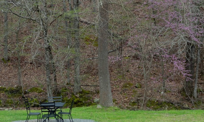 Mount Ida Apartment | Queen Guest Room located at the Joplin Inn at the entrance to Mountain Harbor, , just 2 1/2 miles from Lake Ouachita. by RedAwning