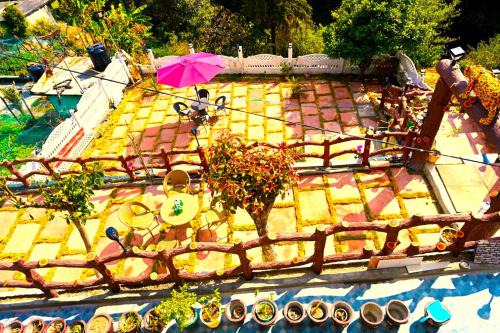 Nainital Hotel | Queen Hill Luxury Mountain View Resort by Anvi in Nainital