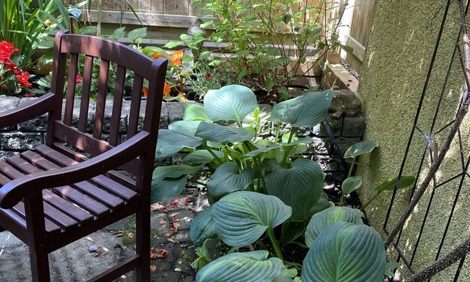 Grandview-Woodland Apartment | Quiet Retreat Near Trendy Commercial Drive - 90 Days plus
