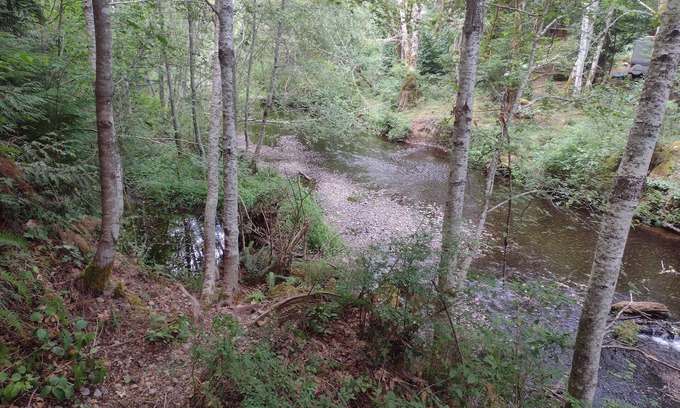 Shelton RV Rental | Quiet tent site. Lots of room. Pet friendly.