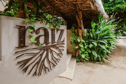 Brisas de Zicatela Hotel | Raíz Hotel Boutique