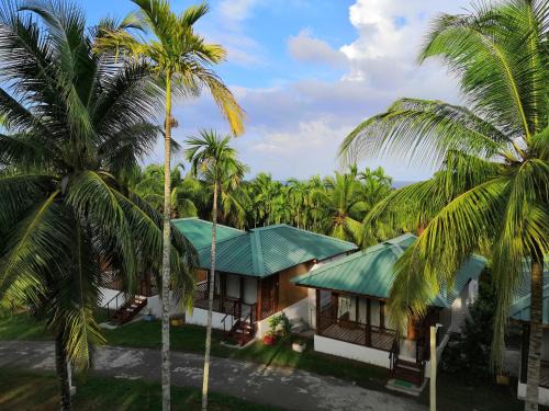 Port Blair Hotel | Rainforest Resort