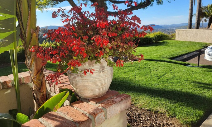 Rancho Bernardo House | Rancho Bernardo Peaceful Comfort with Canyon Views